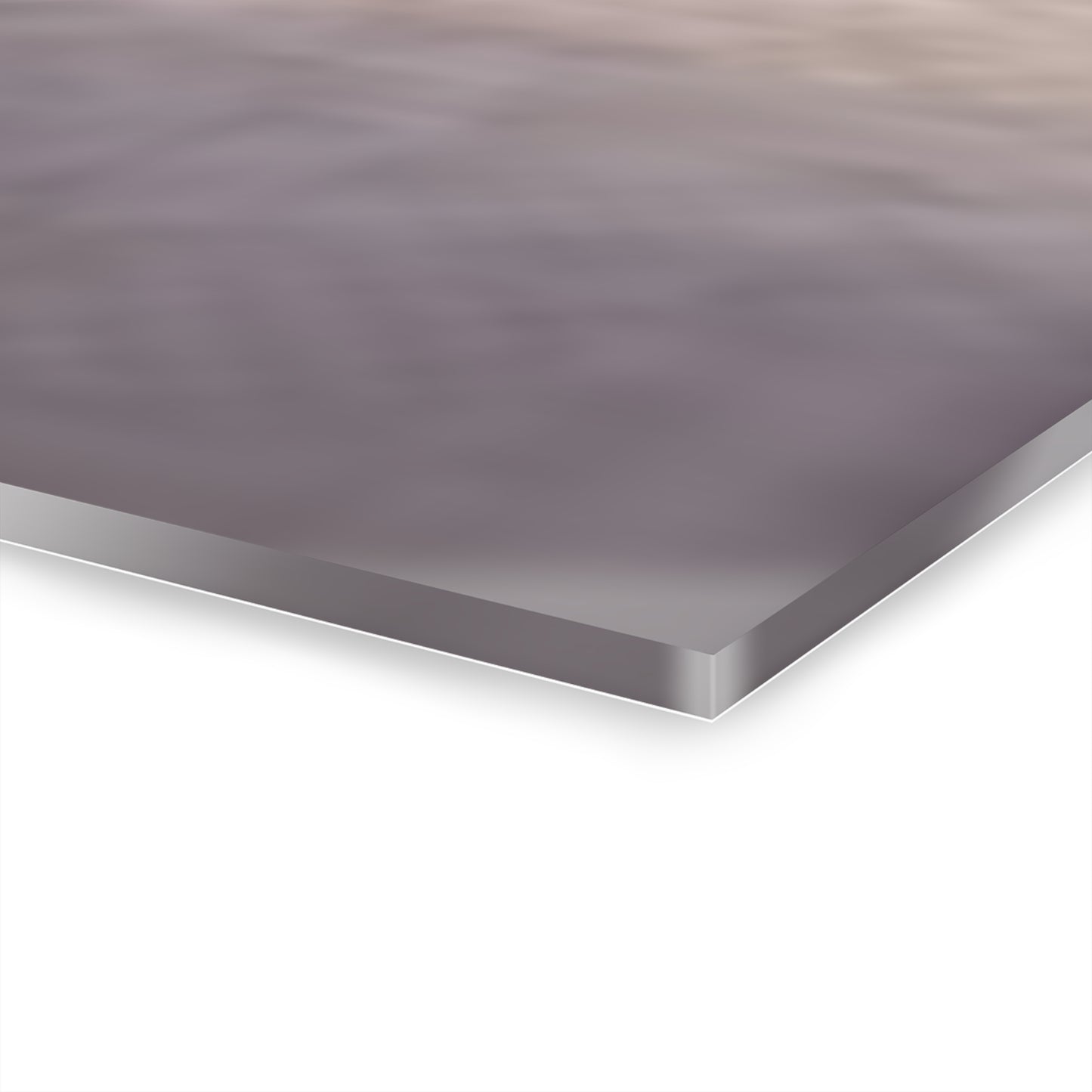 SP-010: Horse Race - Acrylic Wall Art