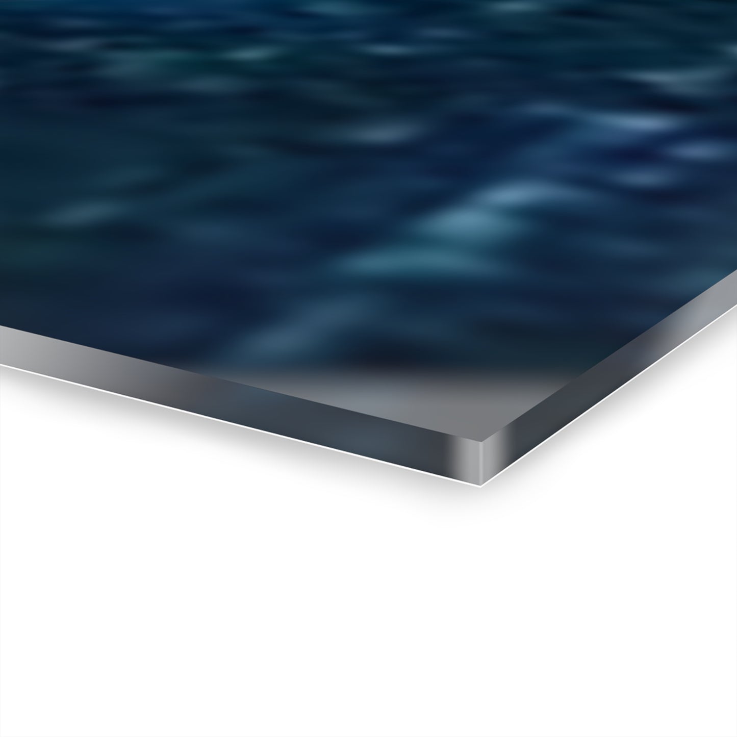 SP-008: Confident Dolphin - Acrylic Wall Art