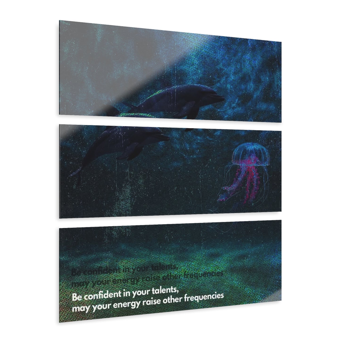 SP-008: Confident Dolphin - Acrylic Wall Art